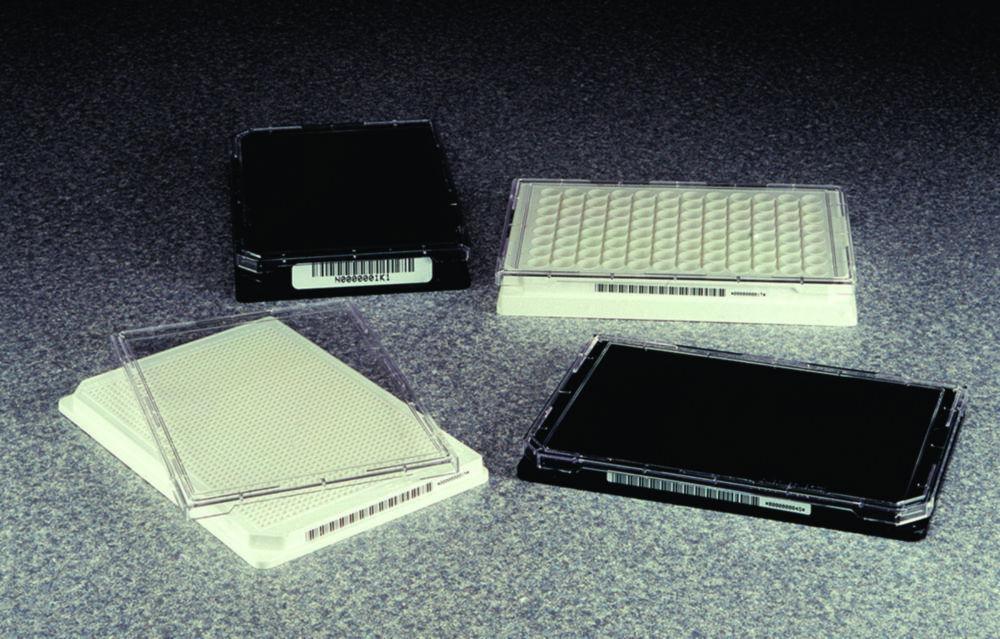 Thermo Nunc Standard Lid, Transparent PS, for 384 Well Plates, Sterile, VE=60