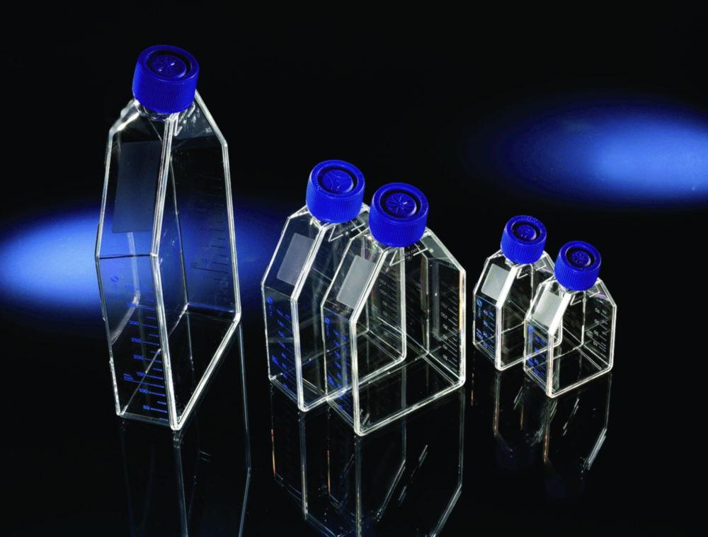 Thermo Nunc EasYFlask, PS, 7 mL, 25 cm², Collagen I, Filter Caps, Sterile (Pack of 60)