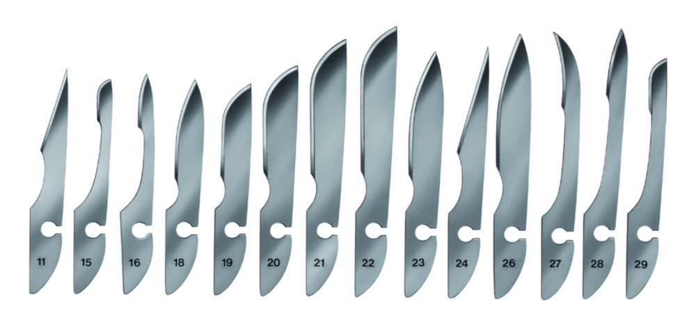 Bayha Scalpel Blades, Type 29, Sterile, Pack of 12 Blades