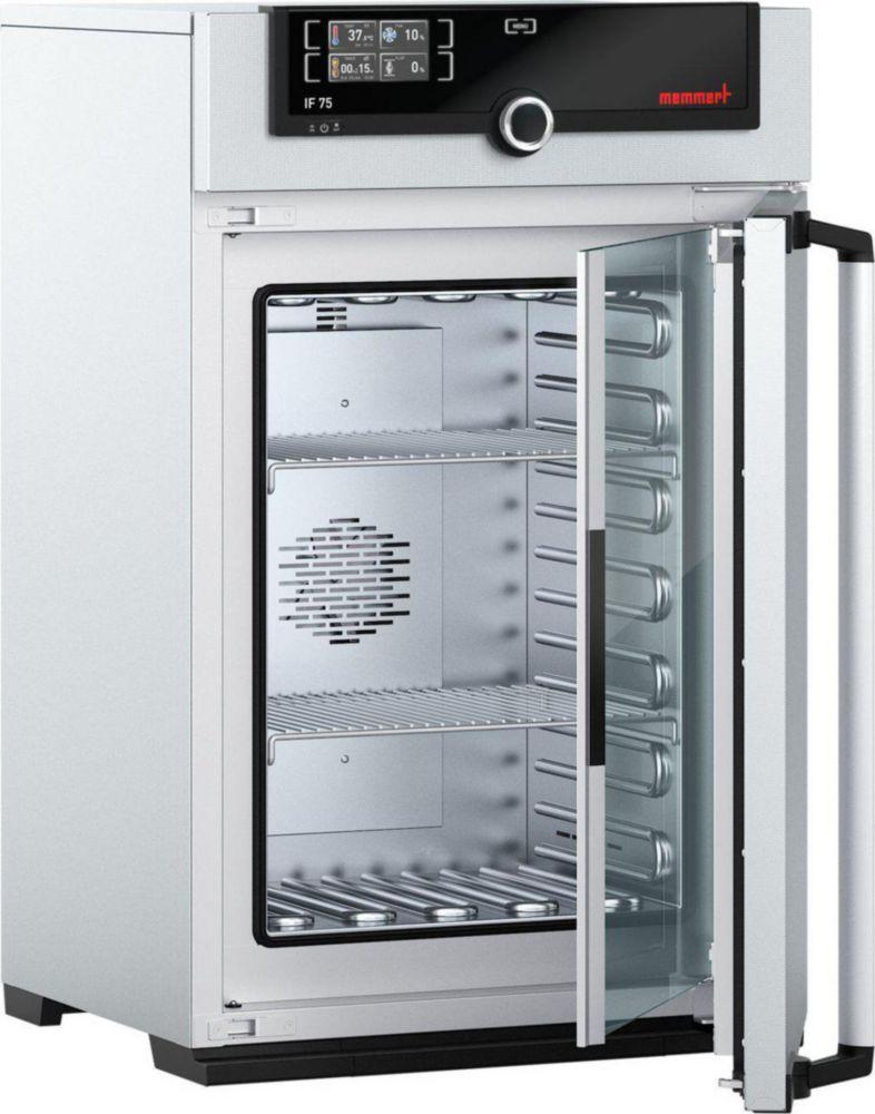 Memmert IF75 Incubator +20...+80°C, 74 Ltr., Laboured Air Circulation with 2 Grids