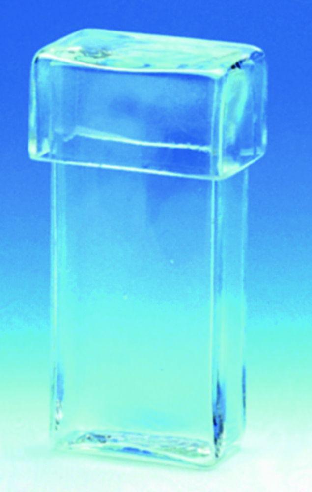 Hecht Staining Cylinder, Rectangular 40x20x85 mm, with Cover, Soda Glass

