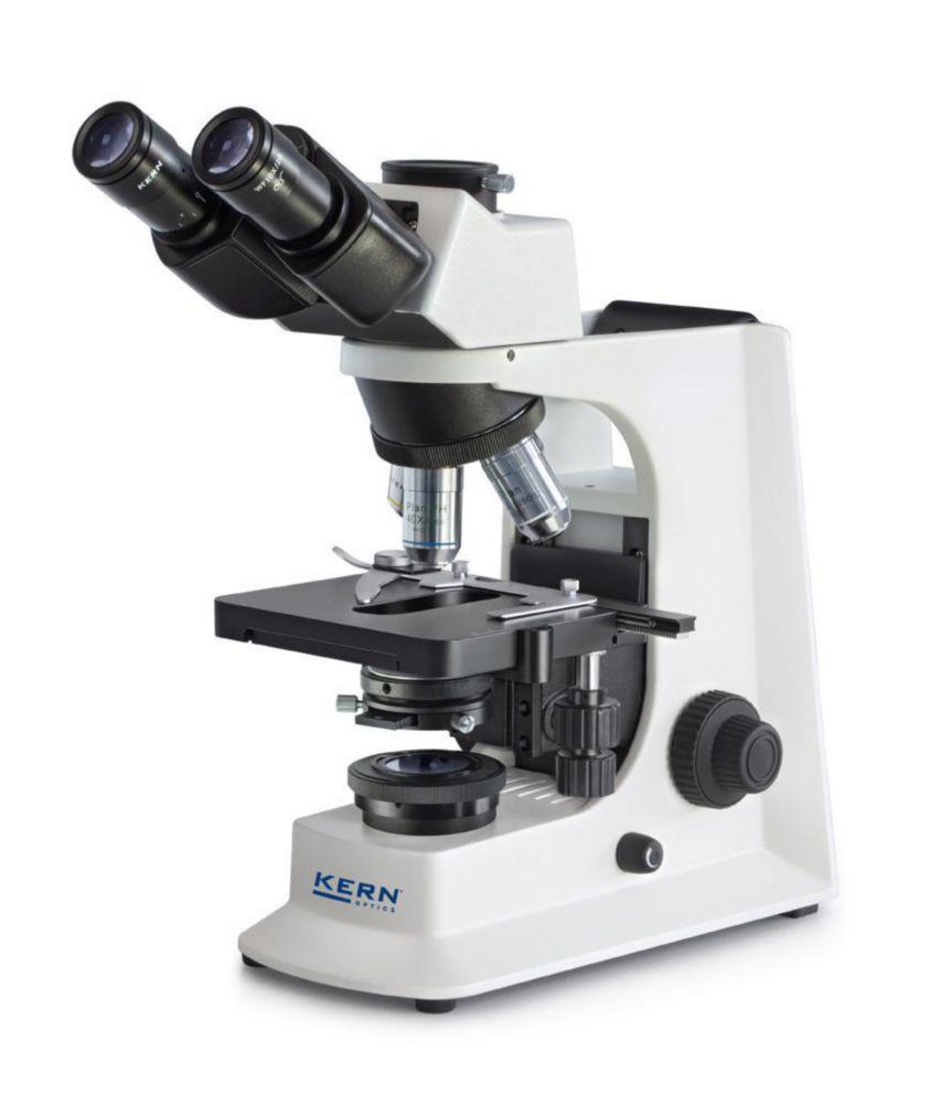 Kern Compound Microscope OBL 137 4/10/40/100, WF10x/20, LED