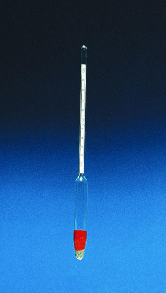 GECO Density Hydrometer without Thermo Scientificmeter (1.500 - 2.000 g/cm³, 280 mm)