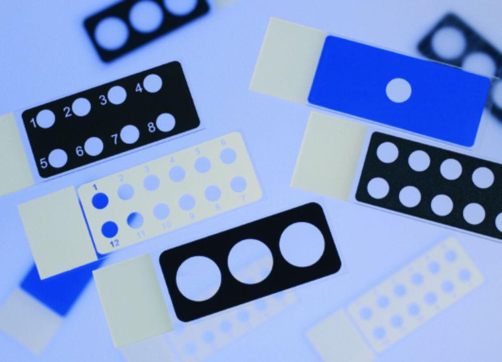 Epredia Netherlands Diagnostic Slides, 25 x 75 x 1 mm, Epoxy Coated, Black, 3 Cavities (14 mm), Pack of 100