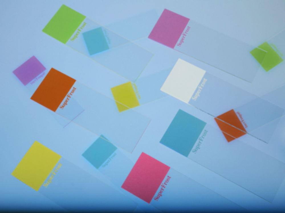 Epredia Superfrost-OT Microscope Slides 76x26 mm, Cut Edges, Blue (Pack of 50)