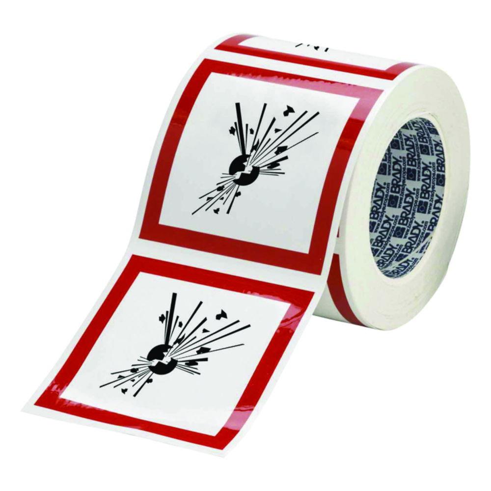 Brady GHS Symbol "Hazardous to the Environment" PIC 1806-50*50-B7541-RLL 50x50 mm, Roll, Pack of 250