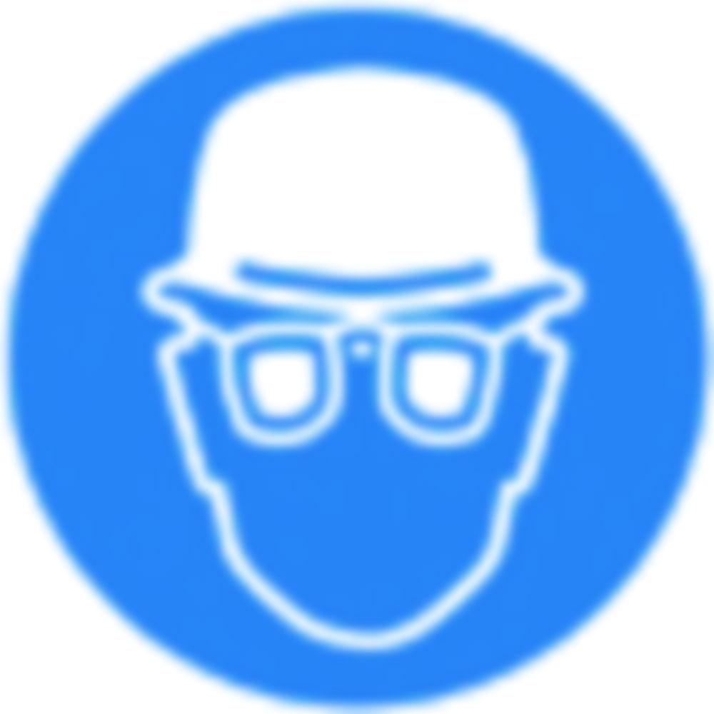 SecuBox® Maxi, 23.6x31.5x20.0cm blue "helmet and eye protection"