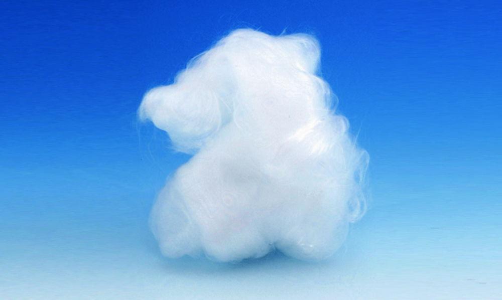 Glaswarenfabrik Karl Hecht Extra Fine Glass Wool (30 g)