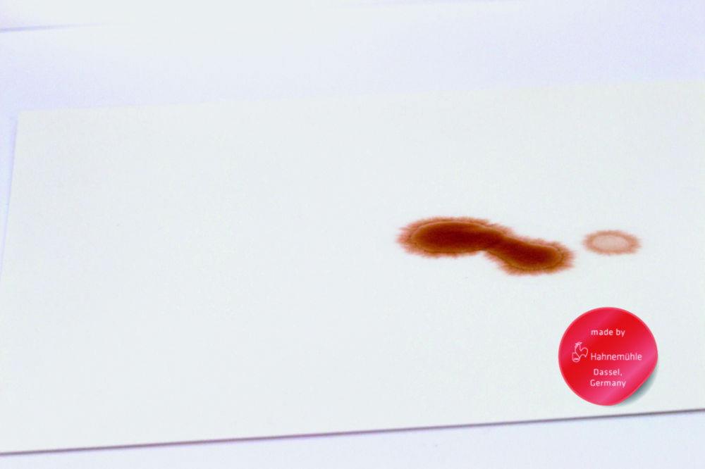 Hahnemühle Protection Paper 295PE, 460 mm PE Coated, Roll of 50 m