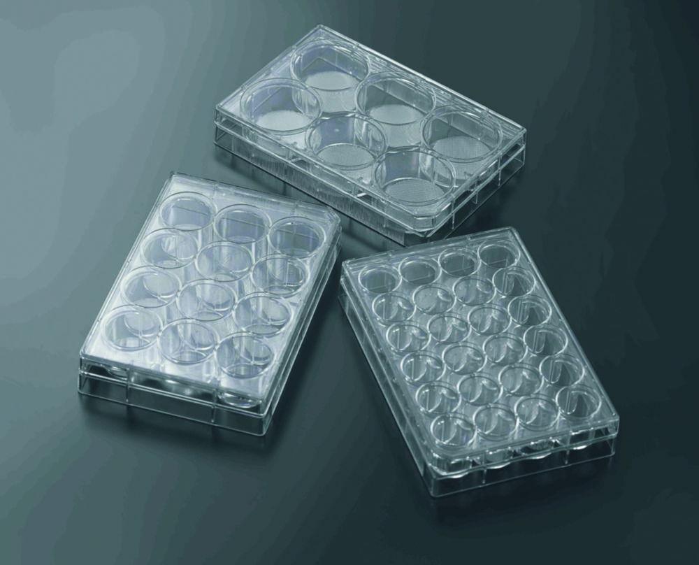 3D Cell Culture Plate CellSCAFLD® 33,5x1,6mm pack of 8