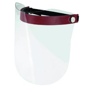 BartelsRieger Face Protection Shield